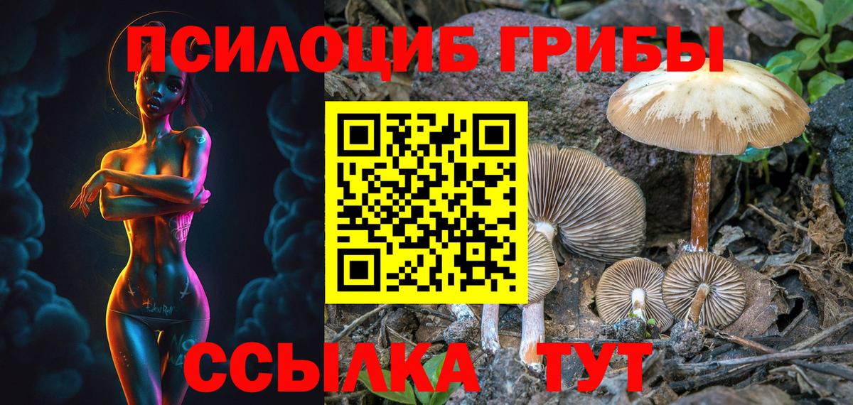 Галлюциногенные грибы ЛСД Богородск